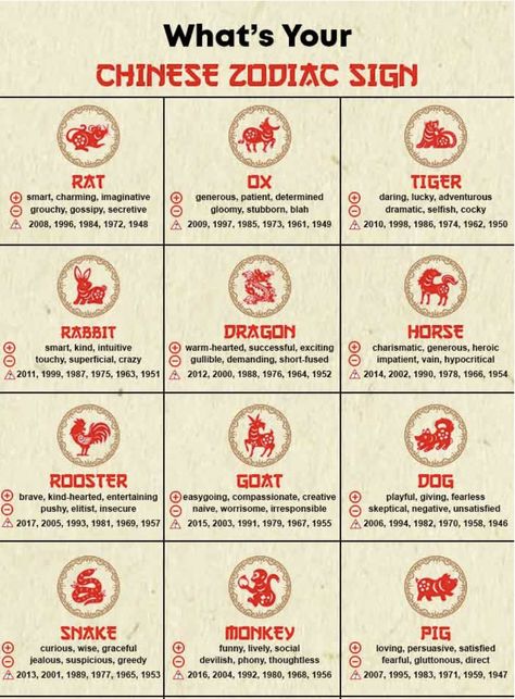 Chinese Zodiac Calendar, 2024 Chinese Zodiac, Chinese Horoscope 2024, Chinese Zodiac Character Design, Chinese Divination, Chinese Zodiac Tattoo, Funny Name Generator, Japanese Zodiac, 12 Chinese Zodiac Signs