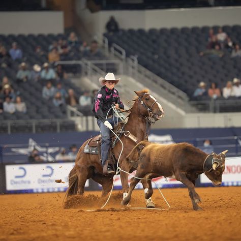 Paden Bray Wallpaper, T Parker Bull Rider Wallpaper, Tristan Parker Bull Rider Wallpaper, Breakaway Roping Aesthetic, Team Roping Aesthetic, T Parker Bull Rider, Bronco Riding Rodeo, Roping Horse, Team Roper