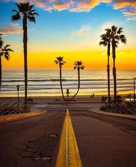 Oceanside California, Palm Tree Art, Surfboard Design, At The Sea, Engagement Inspo, Mural Ideas, Sea Shore, California Beach, Tree Art