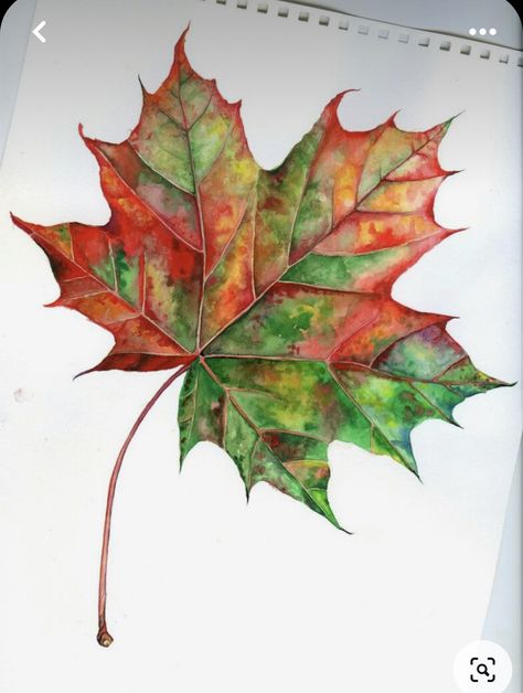 Drawing Maple Leaves, Tree Leaves Painting, Fall Leaf Drawing, Autumn Leaves Painting, Maple Leaf Drawing, Fall Leaves Drawing, Watercolor Autumn Leaves, Fall Canvas Painting, Fall Drawings