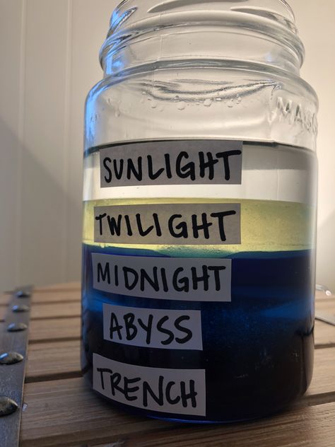 DIY Ocean Layers! - Learning Resources Blog Ocean Science Experiments, Ocean Layers, Layers Of The Ocean, Ocean Zones, Ocean Projects, Ocean Unit, Ocean Science, Ocean Activities, Summer Reading Program