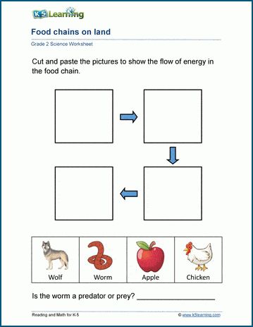 Food chains worksheets - Students create a food chain on land (apple to wolf) and in the water (algae to shark). Free | Printable | Grade 2 | Science | Worksheets Grade 2 Science Worksheets, Log Math, Food Chain Worksheet, Workbook Layout, Grade 2 Science, Early Science, Cursive Writing Worksheets, Comprehension Exercises, Food Chains