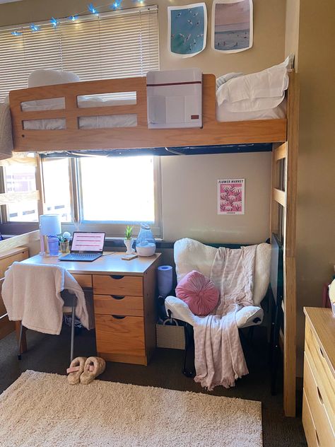 Dorm Room Family Pictures, Dorm Inspiration Lofted Bed, Dorm Bed Lofting Ideas, Dorm Room Ideas Desk Under Bed, Dorm Room Designs Lofted Beds, Fully Lofted Dorm Bed, Uc Santa Cruz Dorm, College Dorm Lofted Beds, Dorm Room Ideas Bunk