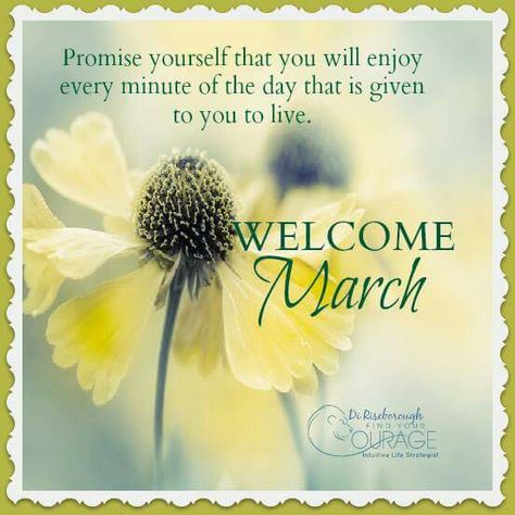 Welcome March Month Of March Quotes, Quotes For March, March Pictures, Welcome March, Promise Yourself, March Quotes, Monthly Quotes, Happy March, Hello March