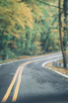 Asphalt Road Between Trees Street Wallpaper, Road Background, Blur Image Background, Asphalt Road, Backgrounds Hd, Blurred Background Photography, Blur Background Photography, Desktop Background Pictures, Cb Background