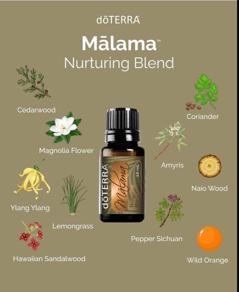 Essential Oil Diffuser Blends Recipes, Doterra Business, Doterra Wellness Advocate, Wild Orange, Essential Oil Diffuser Blends, Oil Diffuser Blends, Doterra Oils, Magnolia Flower, April 1st