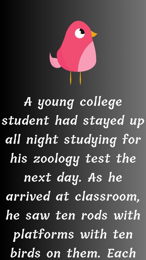 A young college student had stayed up all night studying for his zoology test the next day. As he arrived at classroom, he saw ten rods with platforms with ten birds on… Funniest Jokes, Funny Long Jokes, English Story, Up All Night, Long Jokes, Long Stories, The Next Day, People Laughing, Zoology