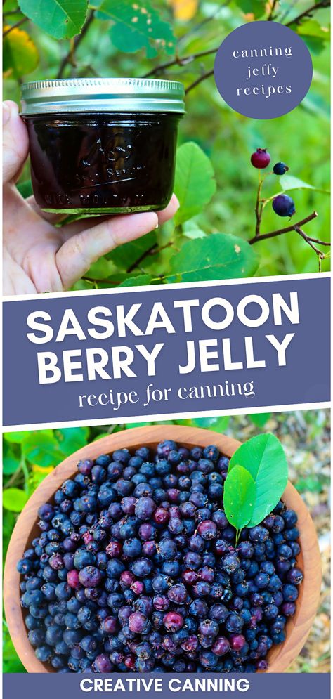 Discover the unique flavor of Saskatoon berries with our small batch Saskatoon jelly recipe. This rich, homemade jelly is a great way to enjoy Saskatoon berries, also known as serviceberries or June berries. Step into the world of home canning with our easy-to-follow guide that will teach you everything you need to know. June Berry Recipes, Saskatoon Jelly Recipe, Saskatoon Berry Recipes, Unique Berries, Saskatoon Berry Jam, Saskatoon Jam, Canning Jelly Recipes, Saskatoon Recipes, Saskatoon Berry Recipe