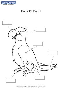 Parts Of A Bird Worksheet Free Printable, Parrot Worksheet, Printable Worksheets For Kindergarten, Parrot Facts, Daycare Curriculum, Worksheet For Kindergarten, Worksheets For Grade 3, Animal Body Parts, 1st Grade Science