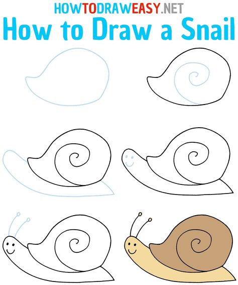 How to Draw a Snail Step by Step #Snail #SnailDrawing #DrawingtheSnail #DrawingofaSnail #HowtoDrawaSnail #ShellDrawing #EasyDrawings #HowtoDraw #HowtoDrawEasy #DrawingTutorial #DrawingGuides #ArtProjectforKids #Arts #Artwork How To Draw A Snail Step By Step, Simple Snail Drawings, Snail Artwork For Kids, Cartoon Snail Drawing, Snail Outline, Snail Artwork, Snail Life Cycle, Draw Bugs, Snail Drawing