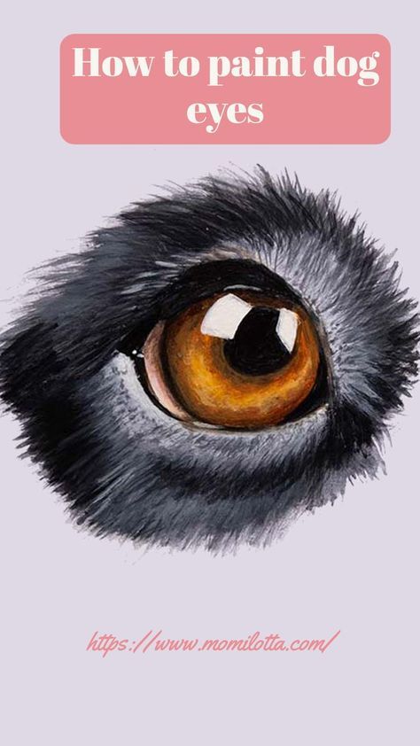 Painting Dog Fur In Acrylic, Acrylic Painting Dogs Pet Portraits, Painting Dog Eyes, Paintings Of Dogs Acrylic, Painting Dogs Acrylic, How To Draw Dog Eyes, Dog Eyes Drawing, Dog Paintings Acrylic, Dog Face Drawing