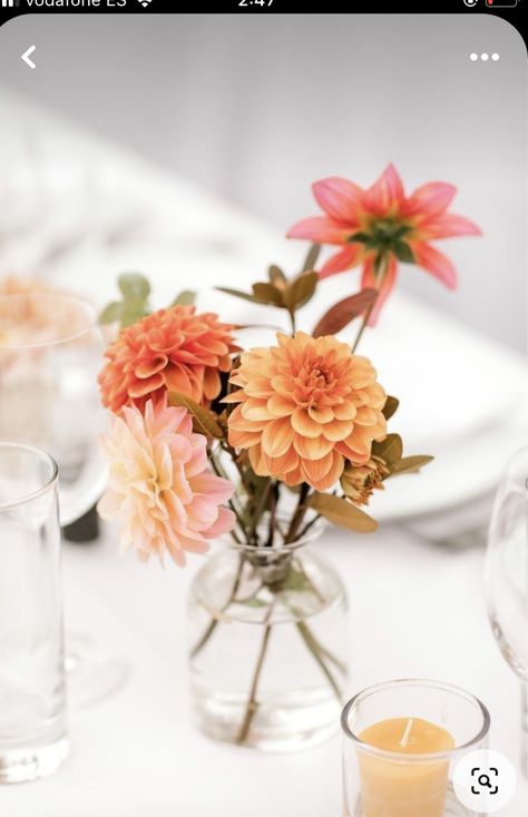 Wedding Centerpieces Orange, Bud Vases Colorful Flowers, Simple Bright Wedding Flowers, Bud Vase Floral Centerpiece, Simple Dahlia Bouquet, Summer Flower Color Palette, Dahlia Table Arrangement, Small Flower Centerpieces Simple, Dahlia Bud Vases