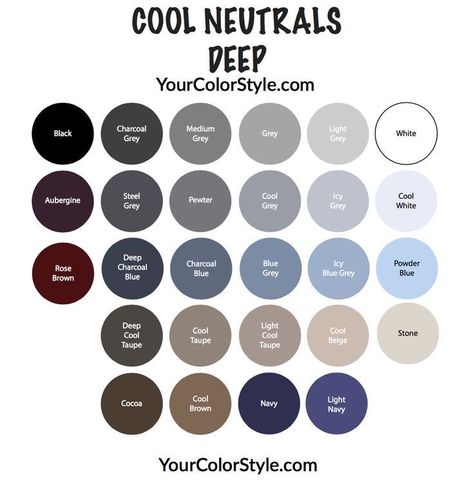 Winter Skin Tone, Wardrobe Color Guide, Cool Summer Palette, Cool Winter Color Palette, Deep Winter Palette, Mode Ab 50, Cool Neutrals, Your Color Style, Soft Summer Palette