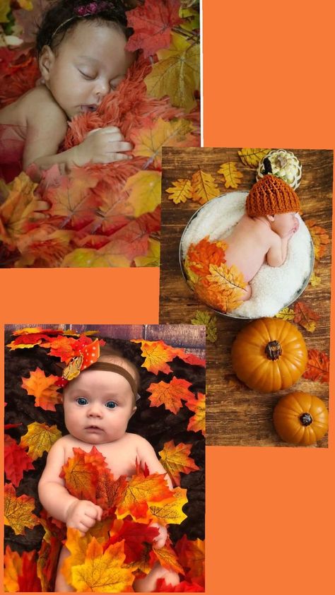 Fall Photoshoot Newborn, Photoshoot Newborn, 3 Month Old, Fall Photoshoot, Fall Pictures, Artist Inspiration, Photo Shoot