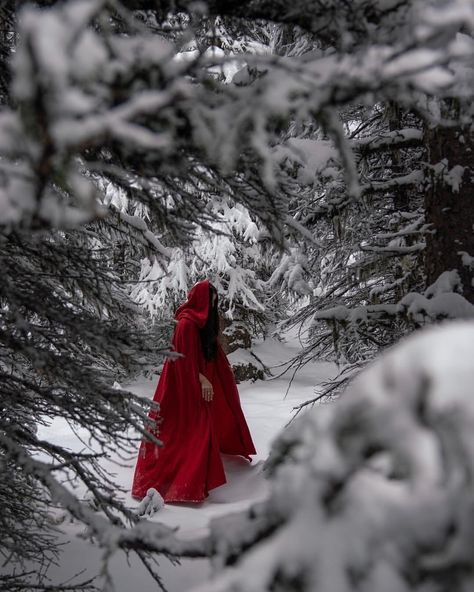 Little Red Riding Hood Photoshoot, Red Riding Hood Photography, Snowing Aesthetic Wallpaper, Fairytale Photoshoot, Red Ridding Hood, Snow Photoshoot, Winter Shoot, Fashion Illustrations Techniques, Snow Photography