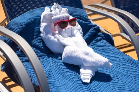 Once Threatened with Extinction, Towel Animals Are Absolutely Thriving Samantha Brown, Towel Art, Towel Animals, Carnival Cruise Line, Flight Training, Neighborhood Guide, Art Competitions, Carnival Cruise, Cruise Line