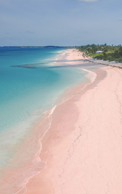 Pink Sand Beach, Harbour Island, Bahamas.  Photo credit:  Photo Room The Agency/Alamy Stock Photo. Pink Sand Beach Bahamas, Alamy Stock Photo, Harbour Island Bahamas, Pink Sand Beach, Photo Room, Harbour Island, Pink Sand, The Agency, Beach Sand