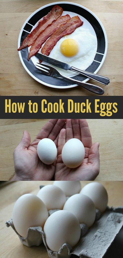 Cooking With Duck Eggs, Baking With Duck Eggs, Duck Eggs Recipe, Recipes Using Duck Eggs, Salted Duck Eggs, How To Incubate Duck Eggs, When Do Ducks Start Laying Eggs, How To Cook Duck, Farm Goals