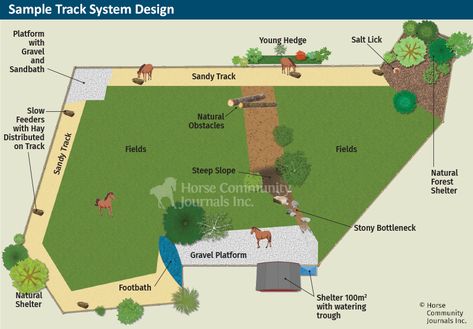 Get Your Horse On a Track System | Horse Journals Horse Field Layout, Horse Track System Ideas, Track System Horse, Paddock Paradise Layout, Horse Track System, Horse Enrichment Ideas, Horse Paddock Ideas, Paddock Paradise Ideas, Paddock Trail