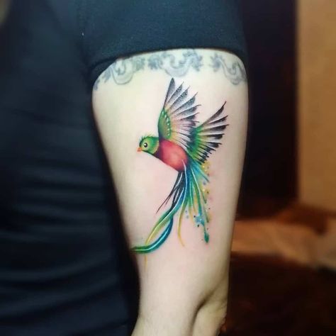 Top 83 Best Quetzal Tattoo Ideas - [2021 Inspiration Guide] Bird Drawing Tattoo, Peruvian Tattoo, Quetzal Tattoo, Adoption Tattoo, Drawing Tattoo Ideas, Lily Tattoos, Quetzal Bird, Small Bird Tattoos, Water Lily Tattoos