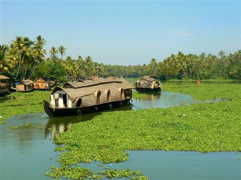 India Allapuzha Kerala, Luxury Houseboats, Kerala Backwaters, Canal Boats, Mother India, Kerala House, House Boats, Inspiring Places, Elephant Ride