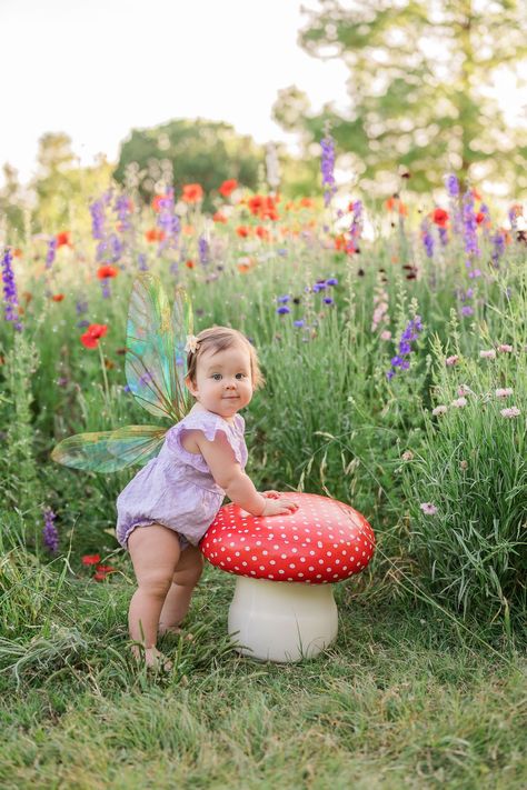 Fantasy Fairy Baby Portraits Wildflowers in Texas Fairy Birthday Outfit Ideas, Fairy First Birthday Pictures, My Fairy First Birthday Photoshoot, Toddler Fairy Photoshoot, Fairy First Photoshoot, Fairy 1st Birthday Photoshoot, First Fairy Birthday Party, Fairy First Smash Cake, Six Months Cake