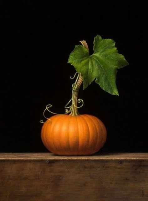 Yellow Squash Recipes, Pumpkin Leaves, Art Pastel, Pumpkin Art, Orange Pumpkin, Fabulous Fall, Autumn Beauty, Still Life Art, Fruit And Veg