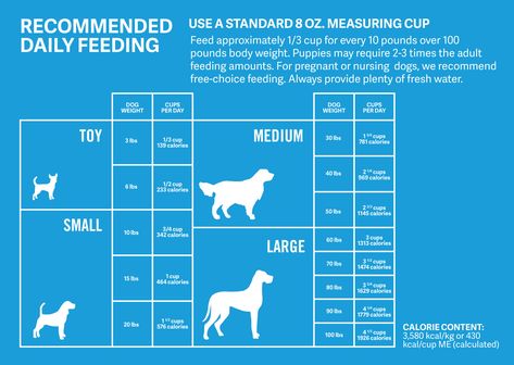 How Much Should Dogs Eat? | Calculate How Much to Feed Your Dog | petMD Dog Feeding Schedule, Puppy Feeding Schedule, Make Dog Food, Food Chart, Food Dog, Raw Dog Food Recipes, Dog Nutrition, Dog Diet, Healthy Dog Food Recipes