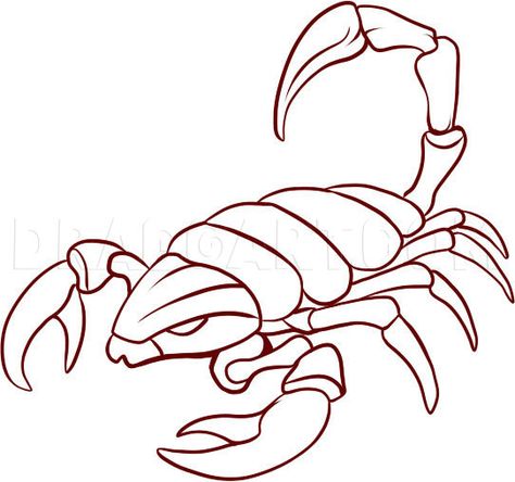 How To Draw Scorpions, Step by Step, Drawing Guide, by Dawn | dragoart.com Scorpion Drawing, Scorpio Tattoo, Drawing Guide, Butterfly Images, Pokemon Coloring Pages, Printable Pictures, Classical Conversations, Pokemon Coloring, Roast Potatoes