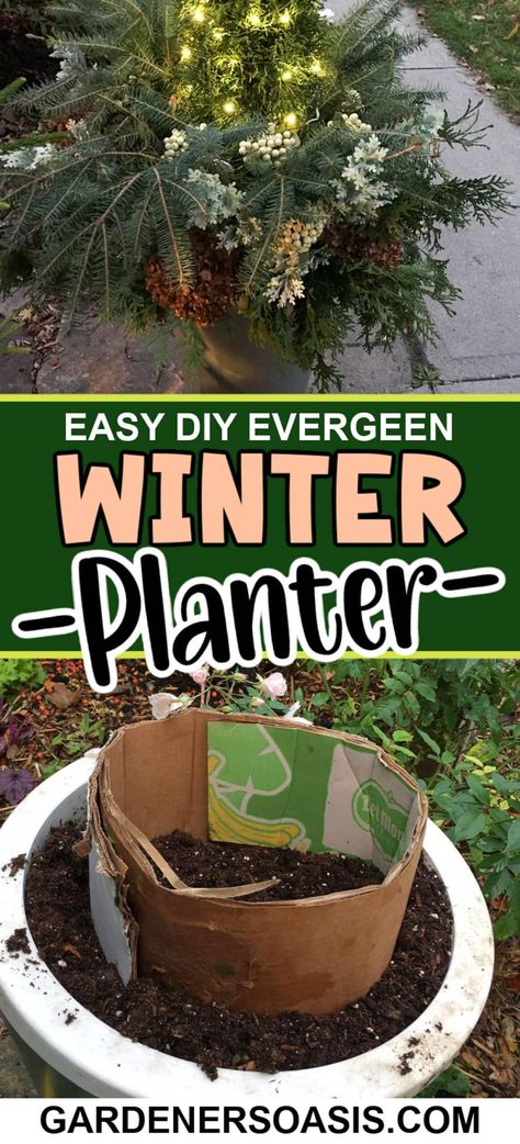 Easy DIY Evergreen Winter Planter | Gardening Christmas Planters Diy, Evergreen Planters, Front Porch Planters, Winter Arrangements, Winter Planter, Porch Planters, Dried Hydrangeas, Full Sun Plants, Christmas Planters