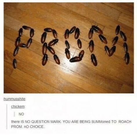 Prom Funny, Humor Memes, What’s Going On, Funny Fails, You Funny, Tumblr Funny, Bones Funny, Funny Posts, The Floor