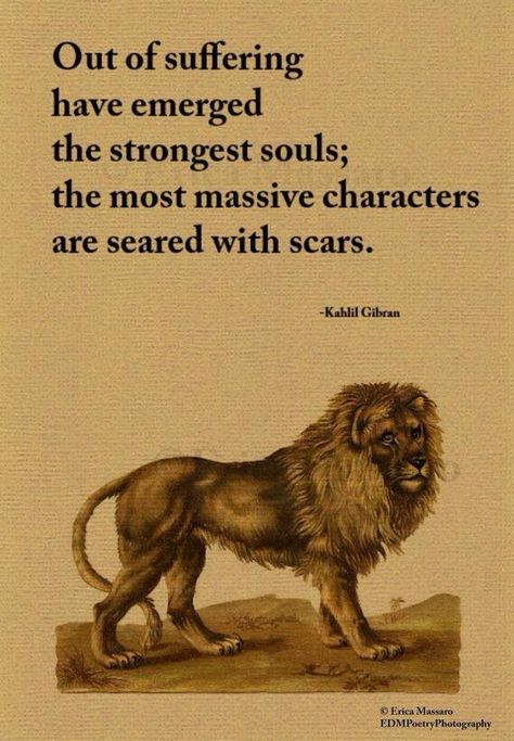 Out Of Suffering Have Emerged, Kahlil Gibran Quotes, People Dont Understand, Kahlil Gibran, A Lion, Quotable Quotes, A Quote, Travel Quotes, Great Quotes