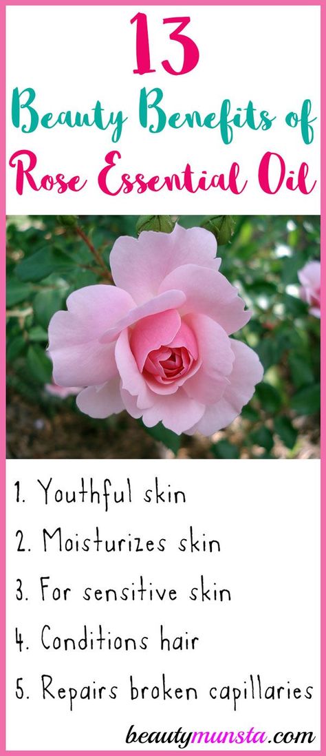 Today I’m excited to share with you 13 beauty benefits of rose essential oil, a luxurious oil all women must invest in for ethereal beauty! The rose is the Queen of flowers. It is portrayed as a romantic flower depicting soft feminine beauty. The story of the discovery of rose oil itself is wrapped in love … Rose Oil Benefits, Rose Oil For Skin, Natural Hair Spray, Salon Gift Card, Rose Petal Bath, Fresh Rose Petals, Dip Manicure, Oil For Skin, Essential Oils Health