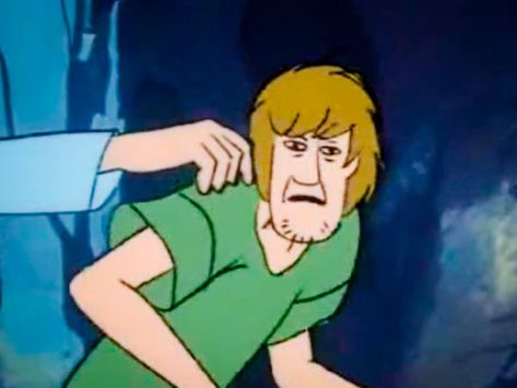 Shaggy Memes, Memes Template, Meme Template, Scooby Doo, I Hope, Memes