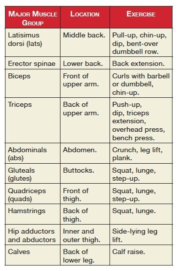 Pectoral Exercises for Women at Home.. Pec Press= lay down lift weights straight up.. Modified Push-up= cross legs  bend at knee for push-up.. Isometric Chest Contractions= hand towel in front of you, pull and hold for 1min. rest for 30 sec. Pectoral Exercises, Gym Business, Weight Room, Fitness Facts, Lift Weights, Muscle Anatomy, Major Muscles, Different Exercises, Gym Fits