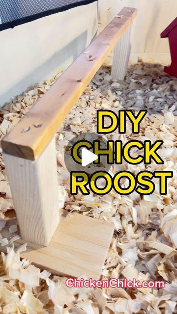 Kathy, The Chicken Chick®️ on Instagram: "Chicks NEED a roost! If you want them sleeping on roosts in the Big Girl Coop, train ‘em early!  Make this Easy Chick Roost with scrap wood in 20 minutes or less!  More brooder essentials on my website at this link!—> https://bit.ly/2CEjsNe  🐥 🐥 🐥 #backyardchickens  #petchickens #chickens #chickenkeeping #chickenyard #chicks #chickdays #babychicks #roost #perch" Chick Brooder, Chicken Perches, Chicken Brooder, Chicken Roost, Building A Retaining Wall, Diy Chicken Coop Plans, Chicken Bird, Backyard Chicken Farming, Chicken Life