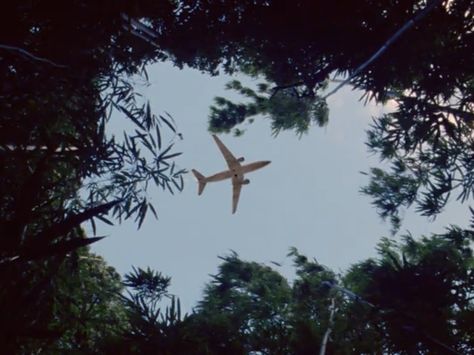 Lost Show Aesthetic, Toy Airplane, Lost Tv Show, Finally Free, Matthew Fox, Tender Embrace, Wallpaper Computer, Lord Of The Flies, Never The Same