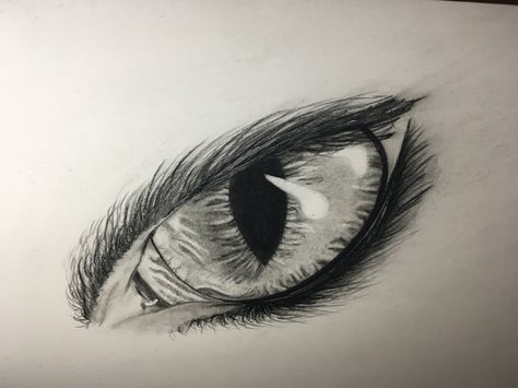 Cat Eyes Tattoo Realistic, Cats Eye Tattoo, Cat Eye Tattoo Realistic, Cat Eyes Tattoo, Cat Eye Tattoo, Eye Tattoo Realistic, Cat Eye Drawing, Werewolf Eyes, Cat Tats