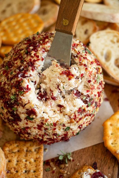 Easy Cranberry Pecan Holiday Cheese Ball Recipe Cheese Ball Cranberry Pecan, Cranberry Pecan Goat Cheese Balls, Cranberry Cream Cheese Ball, Cranberry Cheese Ball, Cranberry Pecan Cheese Ball, Pecan Cheese Ball, Recipe Ingredients List, Baked Appetizers, Cheese Ball Recipe