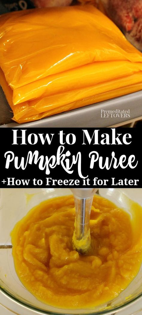 Preparing Pumpkin Puree, How To Cook Fresh Pumpkin In The Oven, Recipes For Pumpkin Guts, How To Freeze Pumpkin Puree, How To Freeze Pumpkin, What To Make With Pumpkin Guts, Freezing Pumpkin Puree, How To Use Pumpkin Guts, How To Roast A Pumpkin