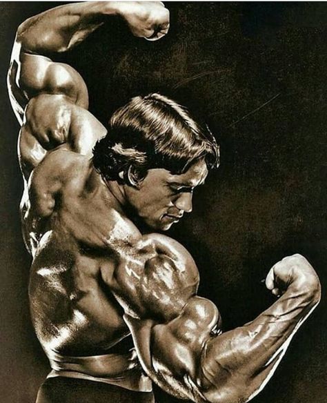 Arnold Schwarzenegger 👑 on Instagram: “Arnold's signature pose 😍👑” Bodybuilding Poster, Arnold Bodybuilding, Arnold Schwarzenegger Bodybuilding, Schwarzenegger Bodybuilding, Bodybuilding Pictures, Muscular Strength, Phil Heath, Pumping Iron, Workout Posters