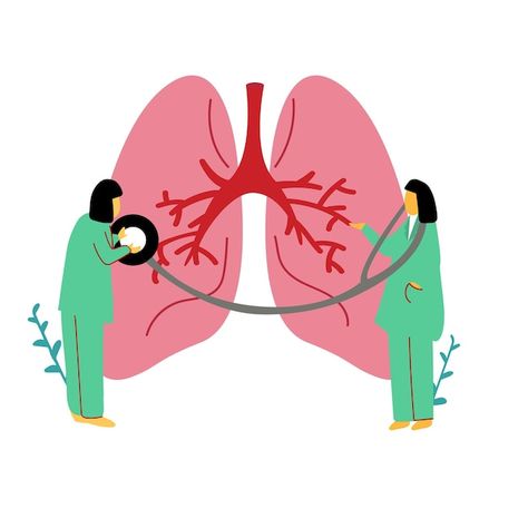 Medical Vector, Human Lungs, The Respiratory System, Pulmonology, Respiratory Illness, Respiratory Diseases, Character Study, Respiratory System, Medical Illustration