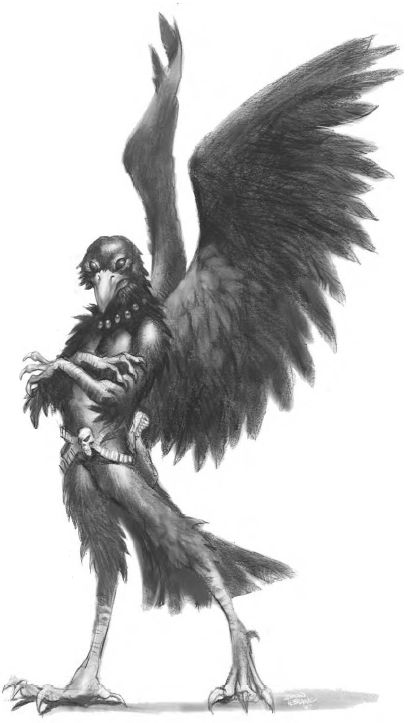 Native American Mythology, Bird People, Ha Ha Ha, Raven Art, New Fantasy, World Of Darkness, Fantasy Races, Ha Ha, Mythological Creatures