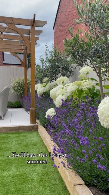 Lauren on Instagram: "From a non-gardener this is your sign to plant those flower beds. I had no idea what I was doing 12 months ago but if I can do it then so can you. 🙌🏻 🌱  This back border is olive trees, purple hebes, lavender, buxus and hydrangea Annabelle’s x  #flowerphotography #flowerborder #houseandgardenuk #gardenstyle #interiorslovers #gardeningideas #hydrangealove #hydrangeas #ukgardens #northfacinggarden #newbuildgardens #gardenandhome #plantsmakemehappy" Landscaping Front Yard Hydrangeas, Lavender Border Ideas, Garden Hydrangeas Landscape, Olive Tree Garden Landscapes, Hydrangea Border Design, Hydrangea Annabelle Border, Raised Border Planting Ideas, Hydrangea Front Garden, Landscape With Lavender