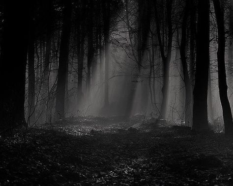 Scary Anime Background, Dark Scary Asthetic, Dark Creepy Background, Spooky Forest Background, Scary Forest Background, Scary Backgrounds Aesthetic, Dark Scary Background, Spooky Forest Aesthetic, Creepy Background