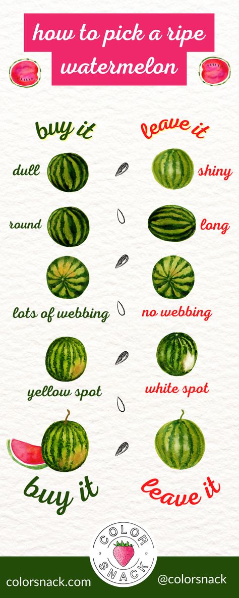 How To Pick a Ripe Watermelon Ripe Watermelon, Quick Watercolor, Illustration Infographic, Watermelon Benefits, Amazing Food Hacks, Magia Das Ervas, God Mat, Food Info, Food Facts