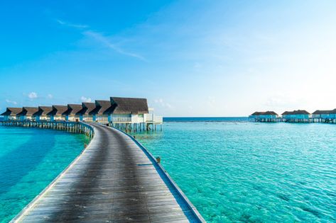 Beautiful tropical maldives resort hotel and island with beach and sea | Premium Photo Maldives Landscape, Computer Project, Landscape Tropical, Hd Landscape, Photo Landscape, Maldives Resort, Project Work, Seaside Resort, Banner Background Images