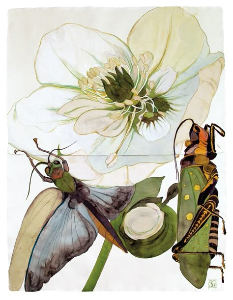 Butterflies and flowers by Sarah Graham #painting #watercolor #butterfly #insects #flowers Sarah Graham Artist, 50s Bedroom, Sarah Graham, Aspen Art, Botanical Artwork, Botanical Painting, Botanical Drawings, Botanical Illustration, Decoration Design