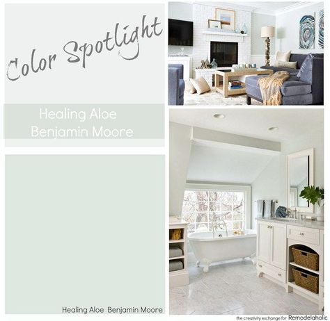 Paint Color Spotlight: Healing Aloe from Benjamin Moore. A very light gray green blue transitional color, great for rooms with lots of natural lighting and those with only artificial light, too. Healing Aloe Benjamin Moore, Sherwin Williams Sea Salt, Color Spotlight, Healing Aloe, Office Paint Colors, Interior Paint Colors Schemes, Paint Colors Benjamin Moore, Bedroom Paint Colors, Interior Paint Colors