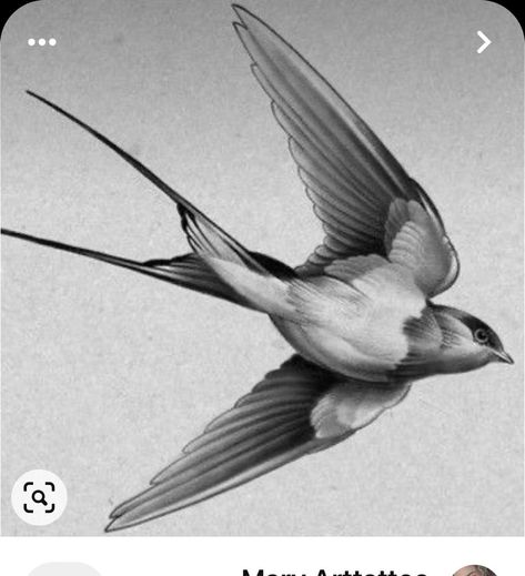 Swallow Tattoo Realistic, Realism Swallow Tattoo, Swallow Bird Tattoo Design, Realistic Swallow Tattoo Design, Sparrow Tattoo Men, Black And Grey Bird Tattoo, Two Swallows Tattoo, Swallow Tattoo Men, Tattoo Golondrina